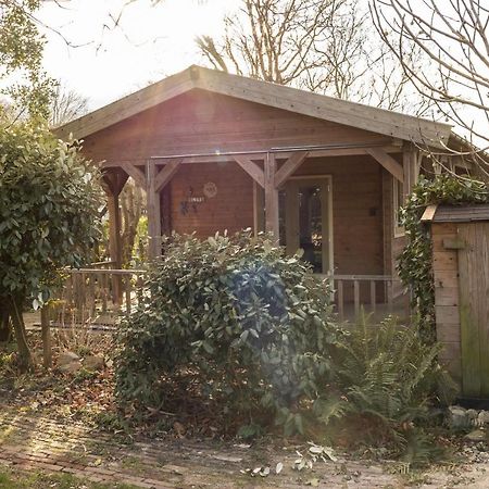 Chalet Ben In Broek Benningbroek Dış mekan fotoğraf