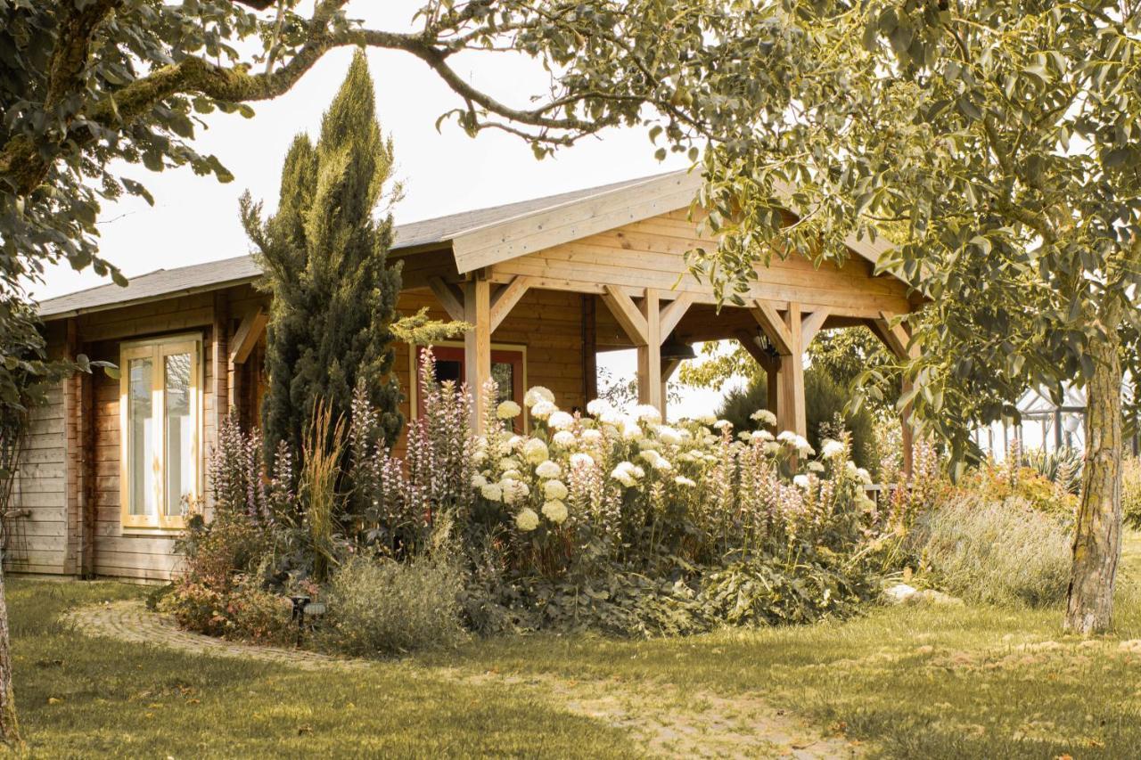 Chalet Ben In Broek Benningbroek Dış mekan fotoğraf