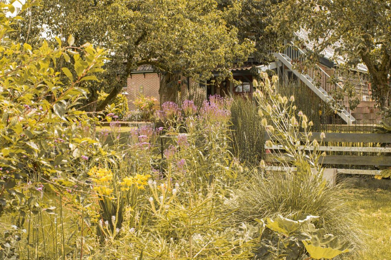 Chalet Ben In Broek Benningbroek Dış mekan fotoğraf